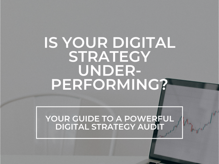 Digital Strategy Audit